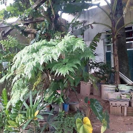里约达欧特拉斯 El Caleuche旅舍 外观 照片